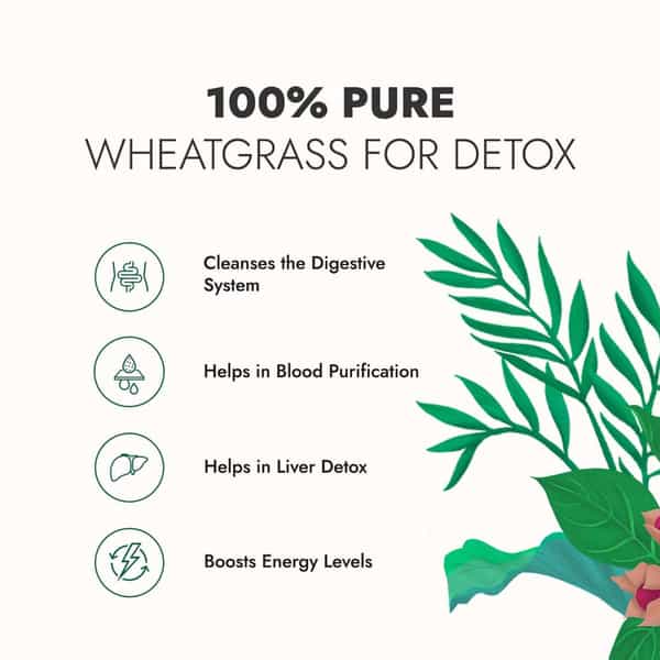 Kapiva Wheatgrass Juice 1L | Ayurvedic Juice For Detoxification | High Chlorophyll