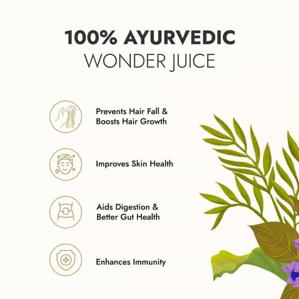 Kapiva Amla Health Juice Bottle Of 1 L