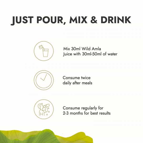 Kapiva Amla Health Juice Bottle Of 1 L