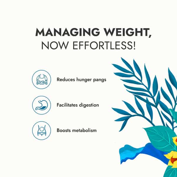 Kapiva Get Slim Capsules - 14 Ayurvedic Herbs For Weight Loss | 60 Capsules