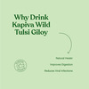 Kapiva Wild Tulsi Giloy Juice 1L | Natural Juice For Building Immunity