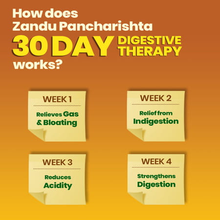 Zandu Pancharishta Ayurvedic Digestive Tonic | 650ml