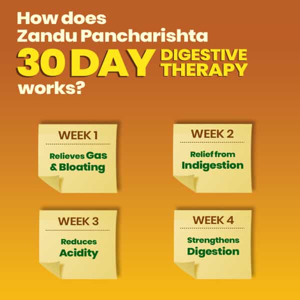 Zandu Pancharishta Ayurvedic Digestive Tonic | 650Ml