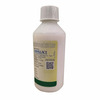 Diovol Mint Flavour Sugar Free Solution 170 Ml