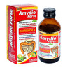 Aimil Amydio Forte Syrup 100 Ml