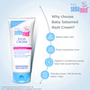 Sebamed Baby Rash Cream|Ph 5.5|Ideal For Diaper Rashes| Faster Rash Healing |100 Ml