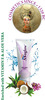 Asoglow Face Wash 100Ml