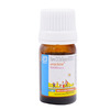 Arachitol Nano 60K Sugar Free Bottle Of 5Ml Solution