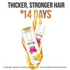 Pantene Prov Hairfall Control Sham 180ml