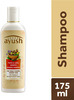 Ayush Thick & Long Growth Shampoo 175Ml