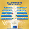 Enfagrow A+ Vanilla Child Nutrition Drink Stage 4 (2 Years And Above) Tin Of 400 G