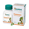 Punarnava Capsules 60'S