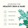 Kapiva Aloe Vera + Amla Juice Boosts Immunity - No Added Sugar - 1 L