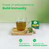Organic India Tulsi Green Tea Lemon Ginger Tea Bag 25'S