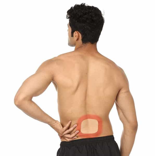 Viopatch Herbal S 50 Sqcm Back Pain Patch Packet Of 30 'S