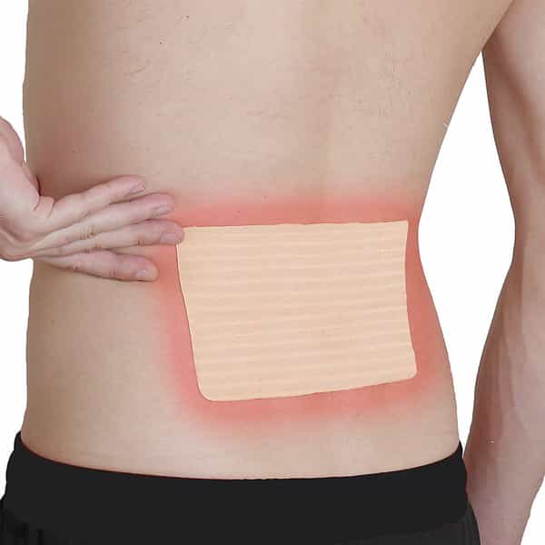 Viopatch Herbal Back Pain Patch Packet Of 5 'S