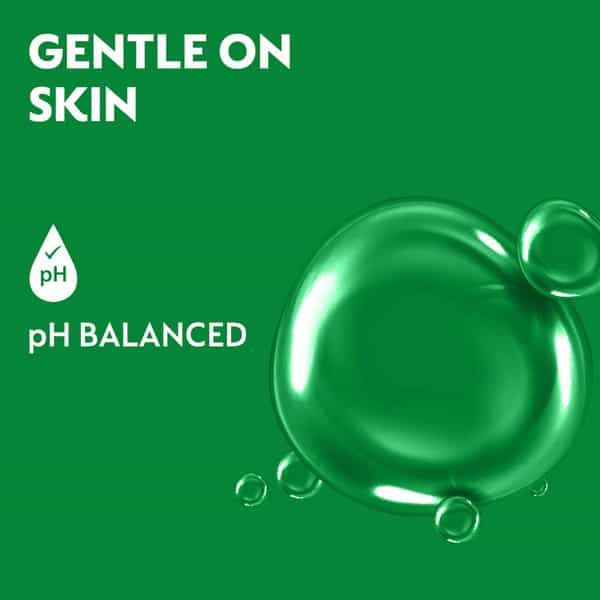 Dettol Liquid Handwash Refill - Skincare Moisturizing Hand Wash 175Ml 