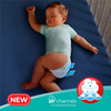 Pampers New Diapers Pants Medium 54 Count