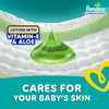 Pampers All Round Protection Pants Large (64 Count) Lotion With Aloe Vera