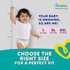 Pampers All Round Protection Pants Large (64 Count) Lotion With Aloe Vera