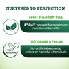 Vansaar Wheatgrass Juice - Natural Detoxifier For Healthy Liver |No Added Sugar 500ml