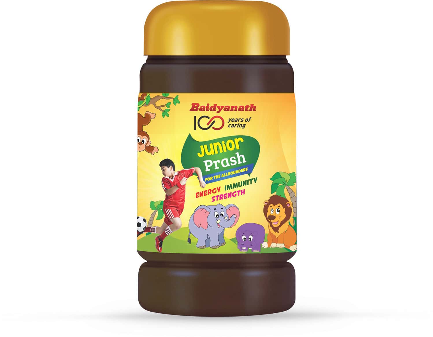 Baidyanath Junior Prash Health Food Jar Of 1 Kg