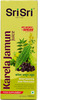 Sri Sri Tattva Karela Jamun Juice | Supports Metabolic Balance | Energy & Overall Wellness | 1 L