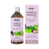 Sri Sri Tattva Karela Jamun Juice | Supports Metabolic Balance | Energy & Overall Wellness | 1 L