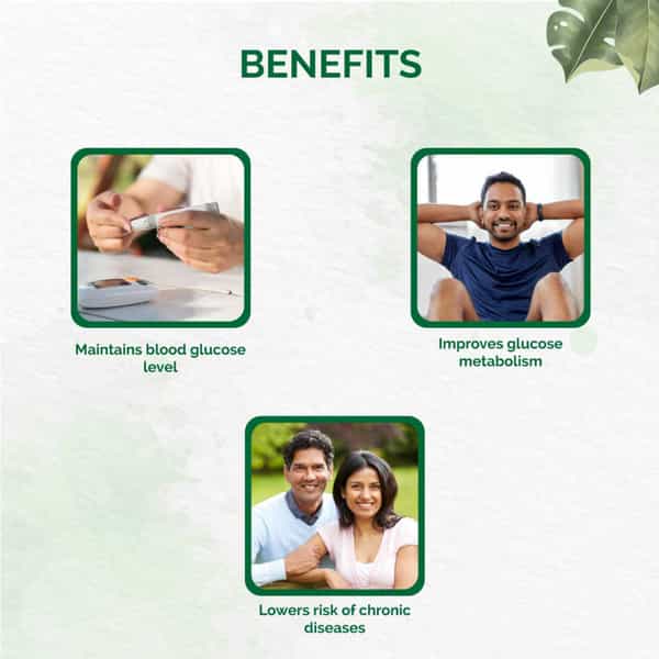 Dr. Vaidya's Diabex Pills Ayurvedic Pill For Diabetes & Blood Sugar Control 30 Pill Each (Pack Of 2)