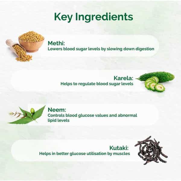 Dr. Vaidya's Diabex Pills Ayurvedic Pill For Diabetes & Blood Sugar Control 30 Pill Each (Pack Of 2)