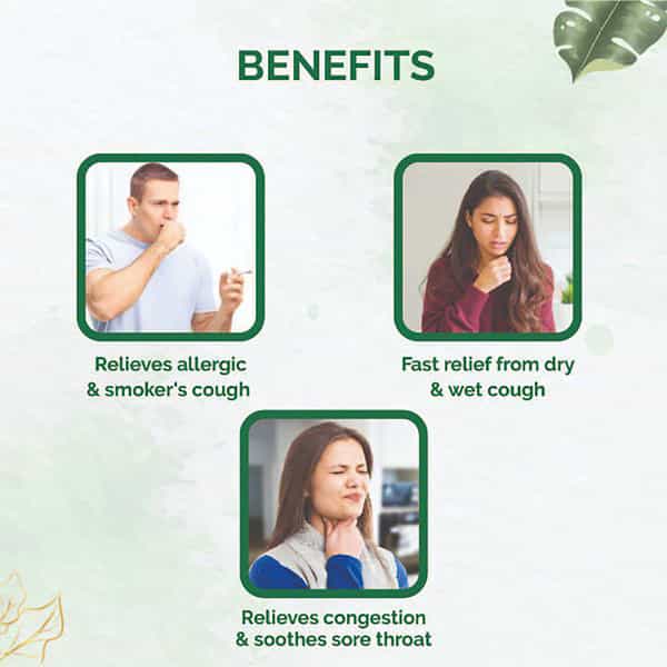 Dr. Vaidya's Tulsi Ginger Cough Syrup Ayurvedic Syrup For Cough And Throat Irritation (Pack Of 2)