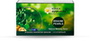 Kerala Ayurveda Brahmi Pearls Memory Improvement Capsules Box Of 40