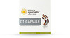 Kerala Ayurveda Gt Bone Care Capsules Box Of 100 'S