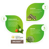 Kerala Ayurveda Imugest Tablet 100 Nos