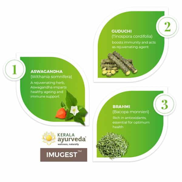 Kerala Ayurveda Imugest Tablet 100 Nos