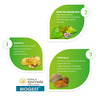 Kerala Ayurveda Biogest Tablet 100 Nos