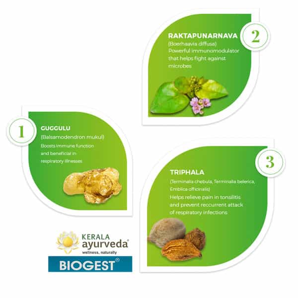 Kerala Ayurveda Biogest Tablet 100 Nos