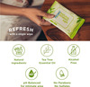 Pee Safe Combikit (25N Panty Liners|Cramp Relief Roll On|Toilet Seat Sanitizer Spray - Mint 50Ml)