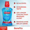 Colgate Plax Peppermint Alcohol-Free Mouthwash Bottle Of 500 Ml