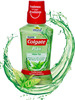 Colgate Plax Fresh Tea Alcohol-Free Mouthwash Bottle Of 250 Ml