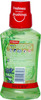 Colgate Plax Fresh Tea Alcohol-Free Mouthwash Bottle Of 250 Ml