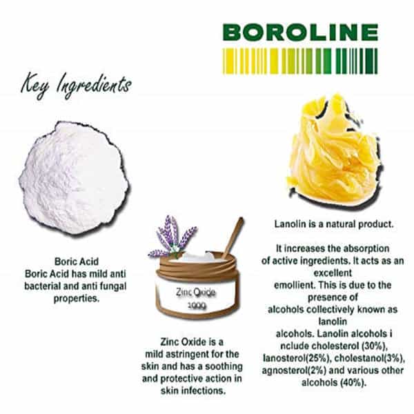 Boroline Night Repair Cream - 40Gm
