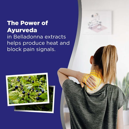 Hansaplast Lion Belladonna Plaster Packet Of 10