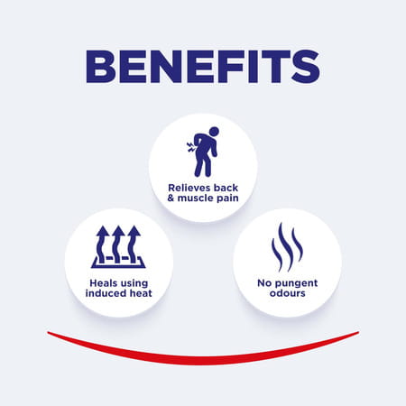 Hansaplast Lion Belladonna Plaster Packet Of 10