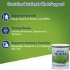 Dexolac Hi Kal Infant Formula Baby Food Tin Of 400 G