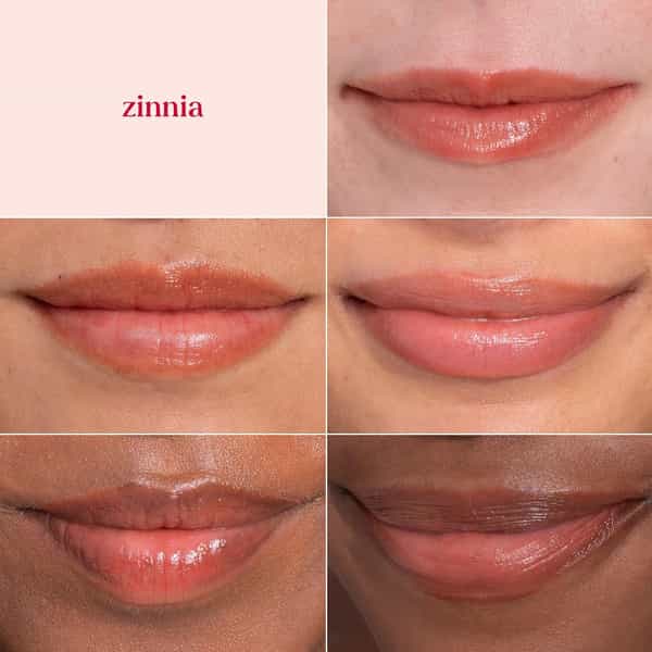 Burt's Bees Tinted Lip Balm | Zinnia | 4.25 G