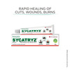 Sycatryz For Cuts Wounds & Burns Ointment 25 Gm