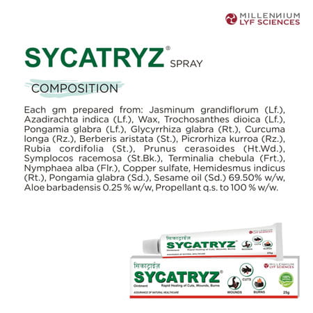 Sycatryz For Cuts Wounds & Burns Ointment 25 Gm