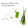 Kapiva Aloe Vera Skin Gel (Healthy Moisturizer) -150 Grams
