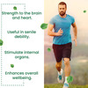 Cipzer Khamira Abresham Hakim Arshad Wala 60 G Powder For Heart Care | Maintain Cholesterol Levels